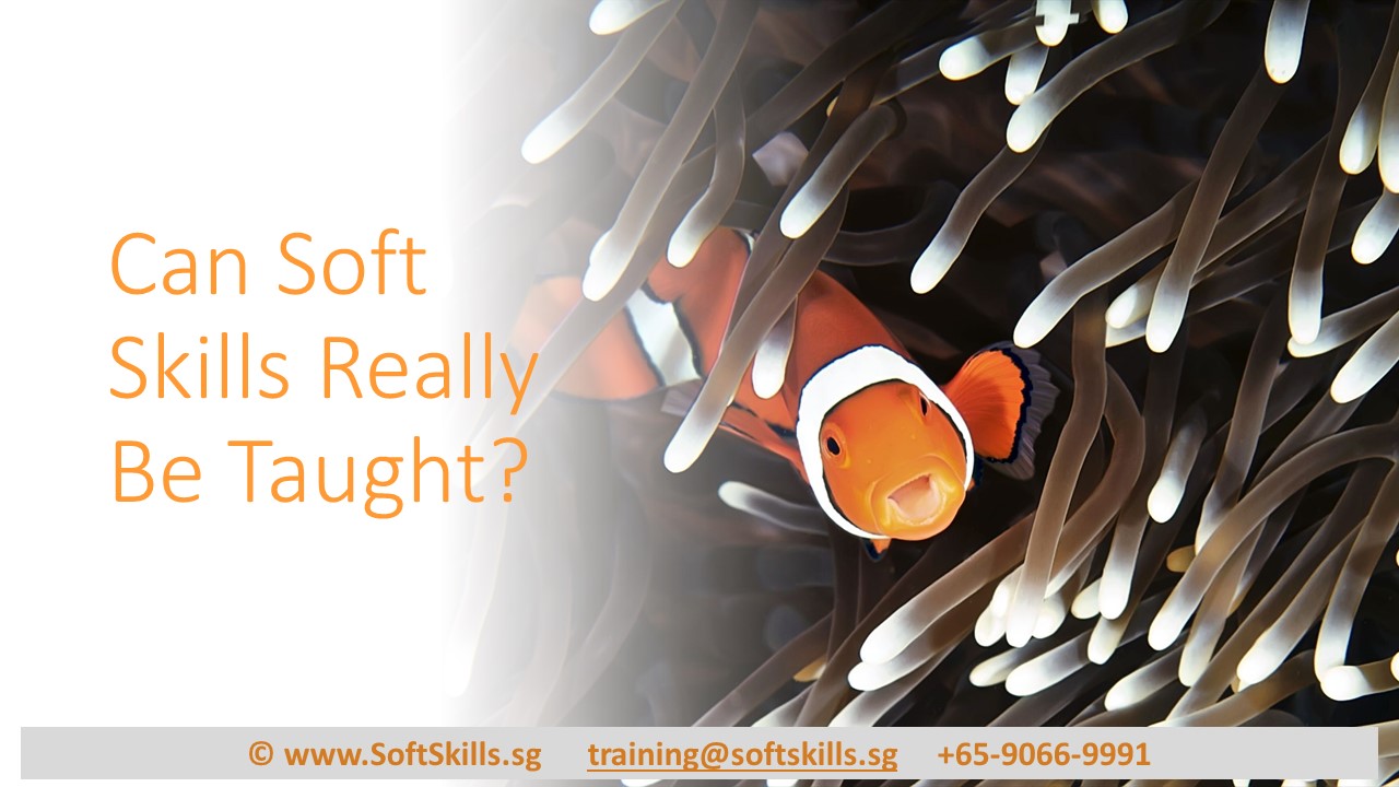 Can soft skills really be taught?