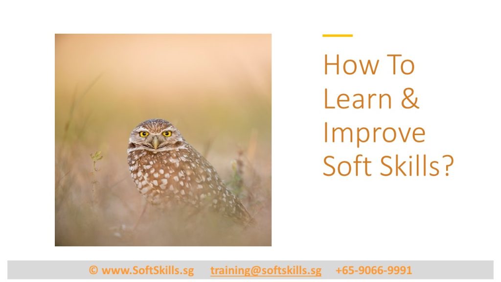 How to Learn & improve Soft Skills in Singpore?